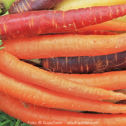 Carotinoid komplex
