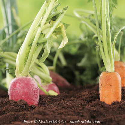 Carotinoid komplex