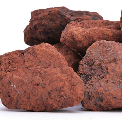 Spirulina Eisen immun