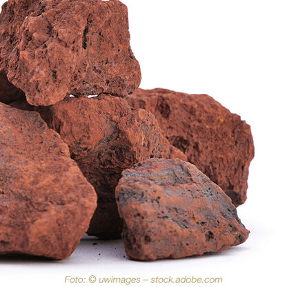 Spirulina Eisen immun