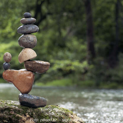 Säure Basen balance