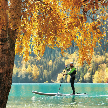 Säure Basen balance