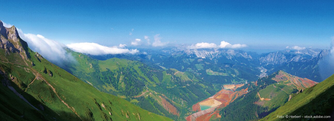 Spirulina Eisen immun