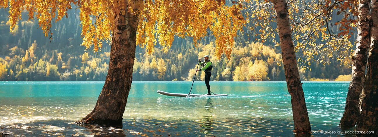 Säure Basen balance