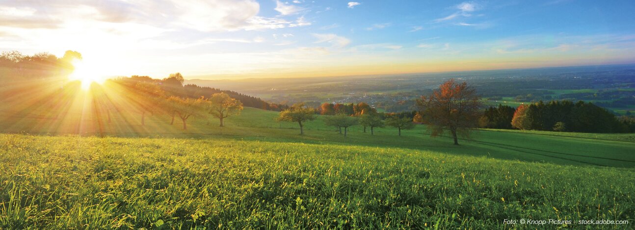 D3 K2 komplex Tropfen