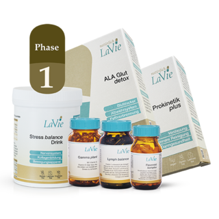 „Verdauung Phase 1“ (433,118,168,195,232,262)