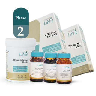 „Verdauung Phase 2“ (433,126,169,205,232,255)