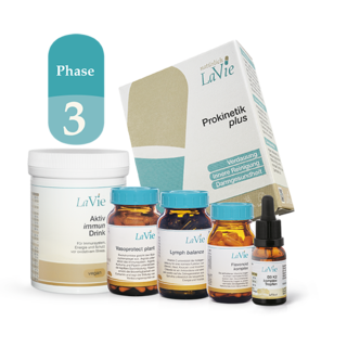 „Verdauung Phase 3“ (431,116,168,232,262,351)