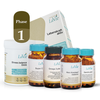 „Herz Gefäße Phase 1“ (110,128,129,151,191,433)