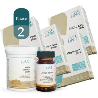 „Herz Gefäße Phase 2“ (105,118,151,190,250,431)