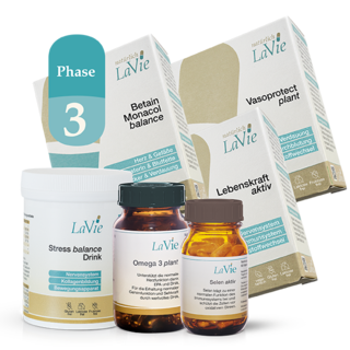 „Herz Gefäße Phase 3“ (116,128,151,170,192,433)