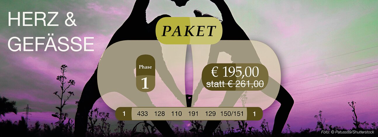 „Herz Gefäße Phase 1“ (110,128,129,151,191,433)