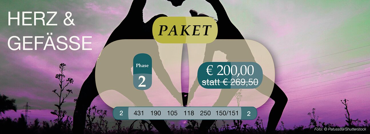 „Herz Gefäße Phase 2“ (105,118,151,190,250,431)